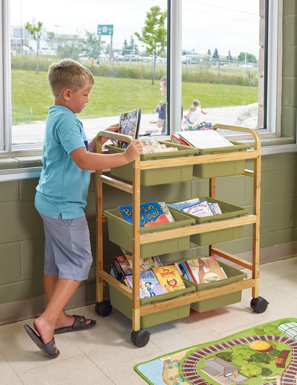 BB007-6-S Small Bamboo Cart - Sage Green Bins