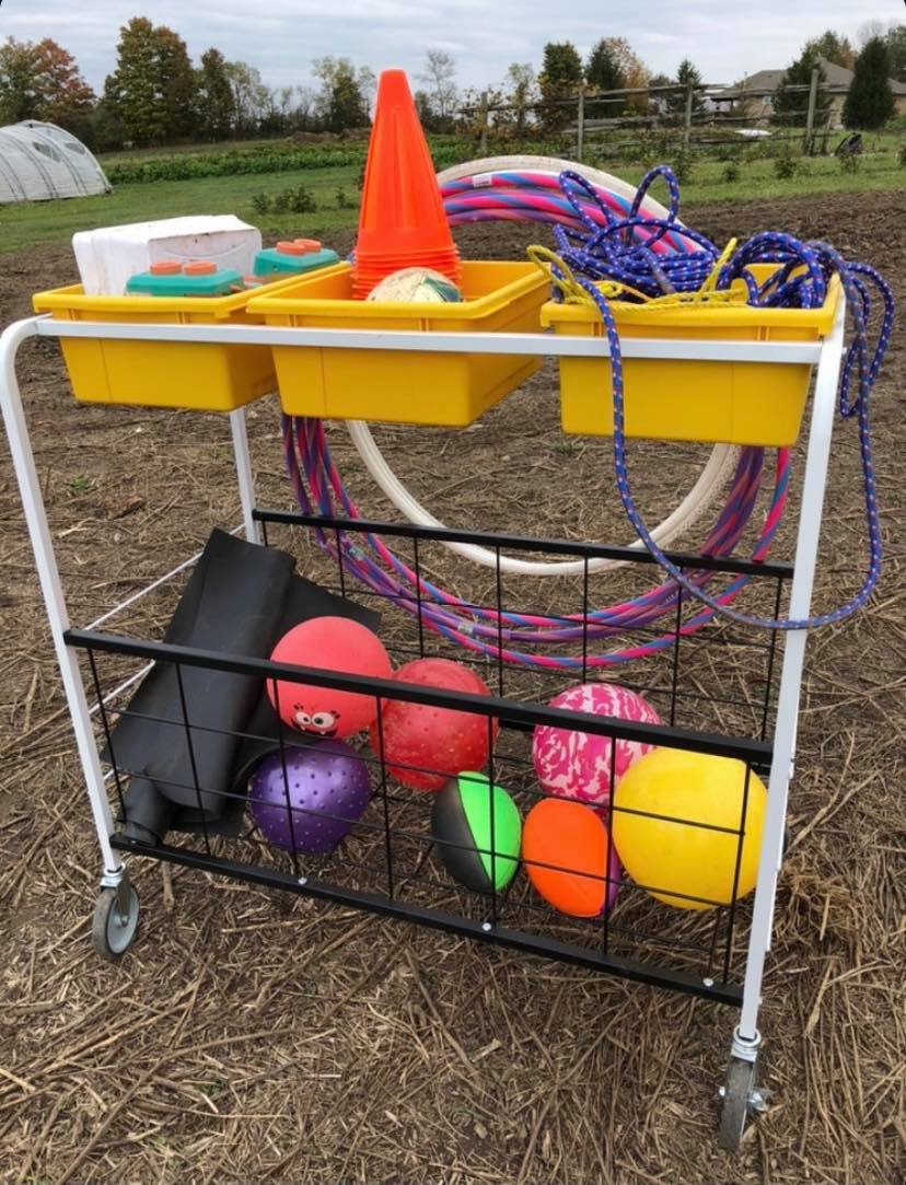 BC300 Physical Education Cart